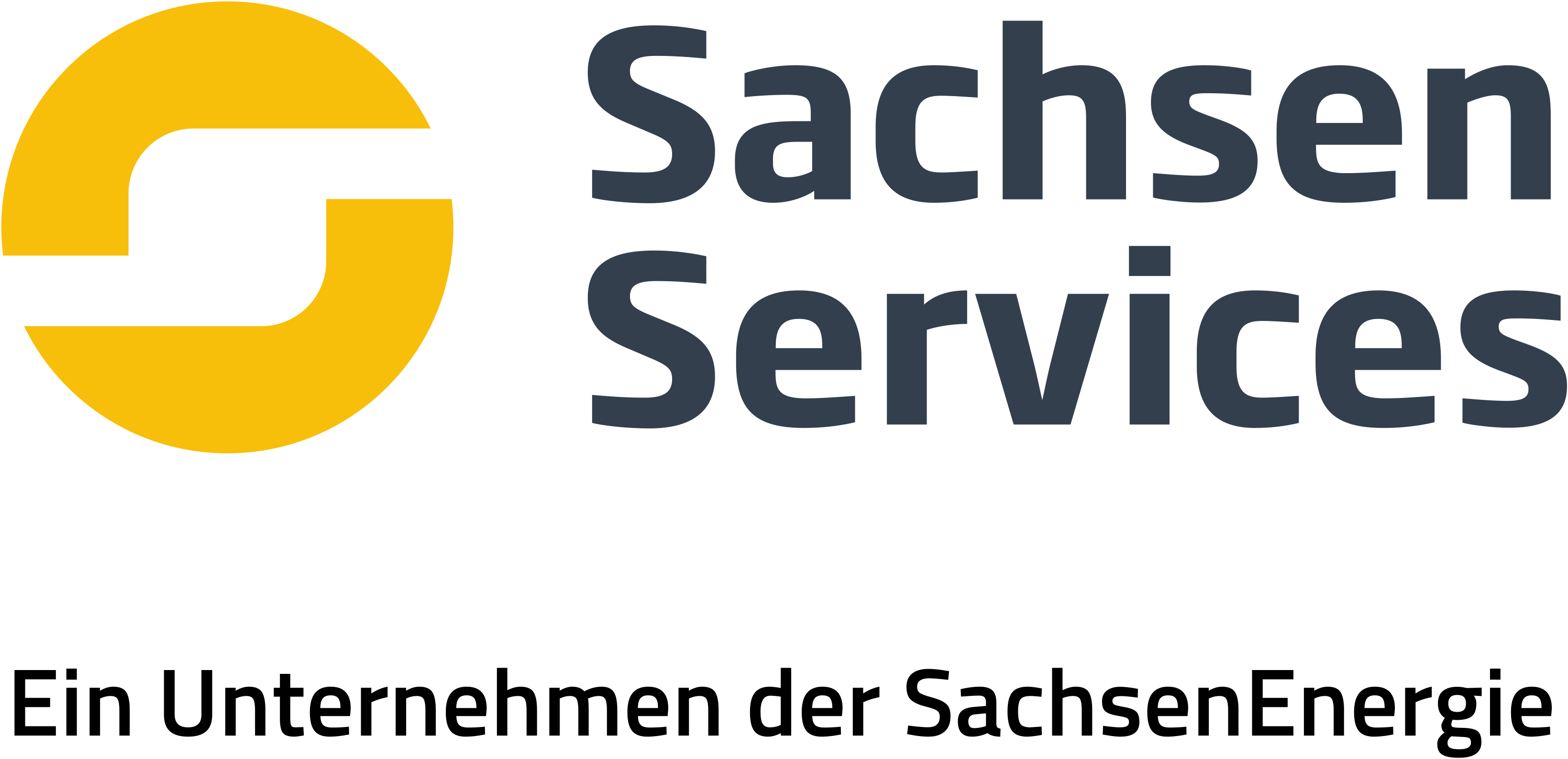Logo der SachsenServices GmbH